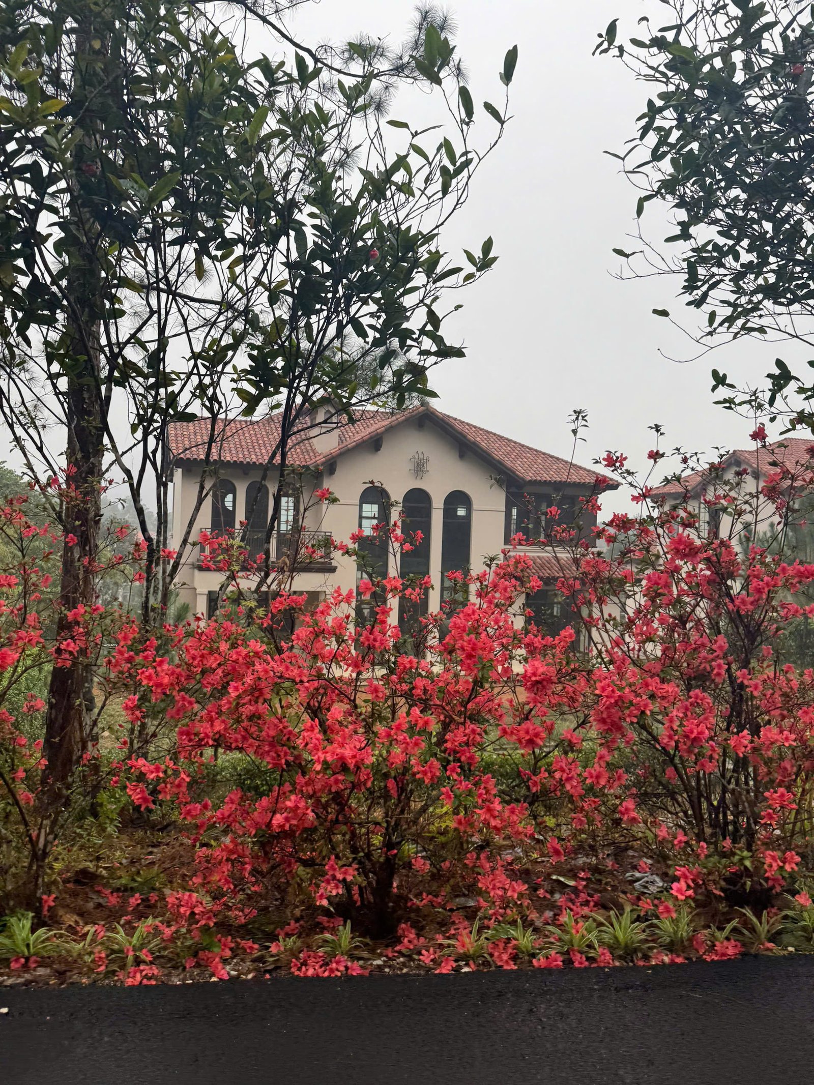 Hình ảnh thực tế biệt thự đơn lập phân khu Valley Park đã hoàn thiện và bàn giao, minh chứng năng lực chủ đầu tư BIM Land tại Thanh Xuân Valley.