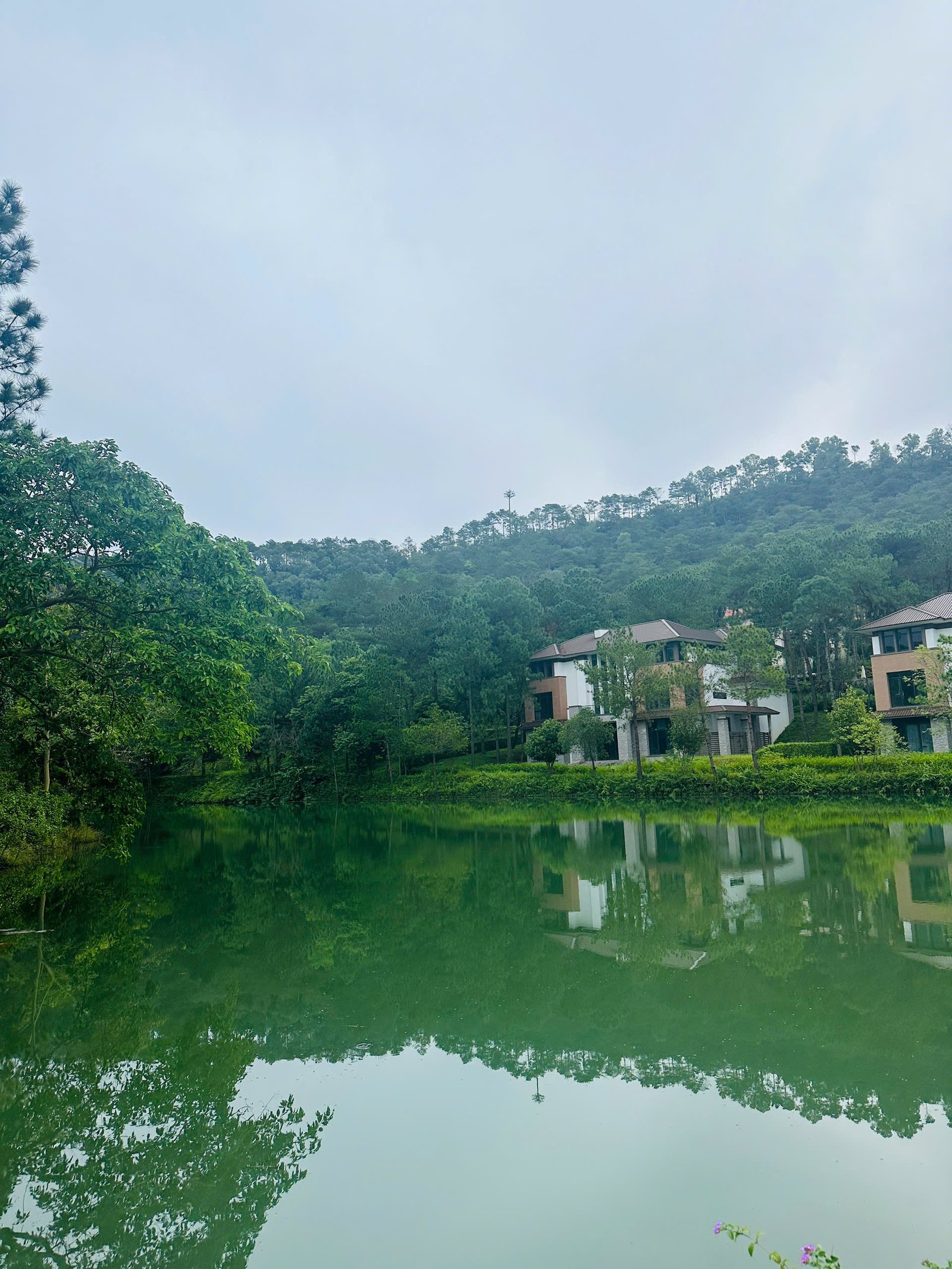 View nhìn ra hồ nước tại khu Orchard dự án Thanh Xuân Valley - ảnh thực tế cảnh quan mặt hồ và rừng cây ven hồ.